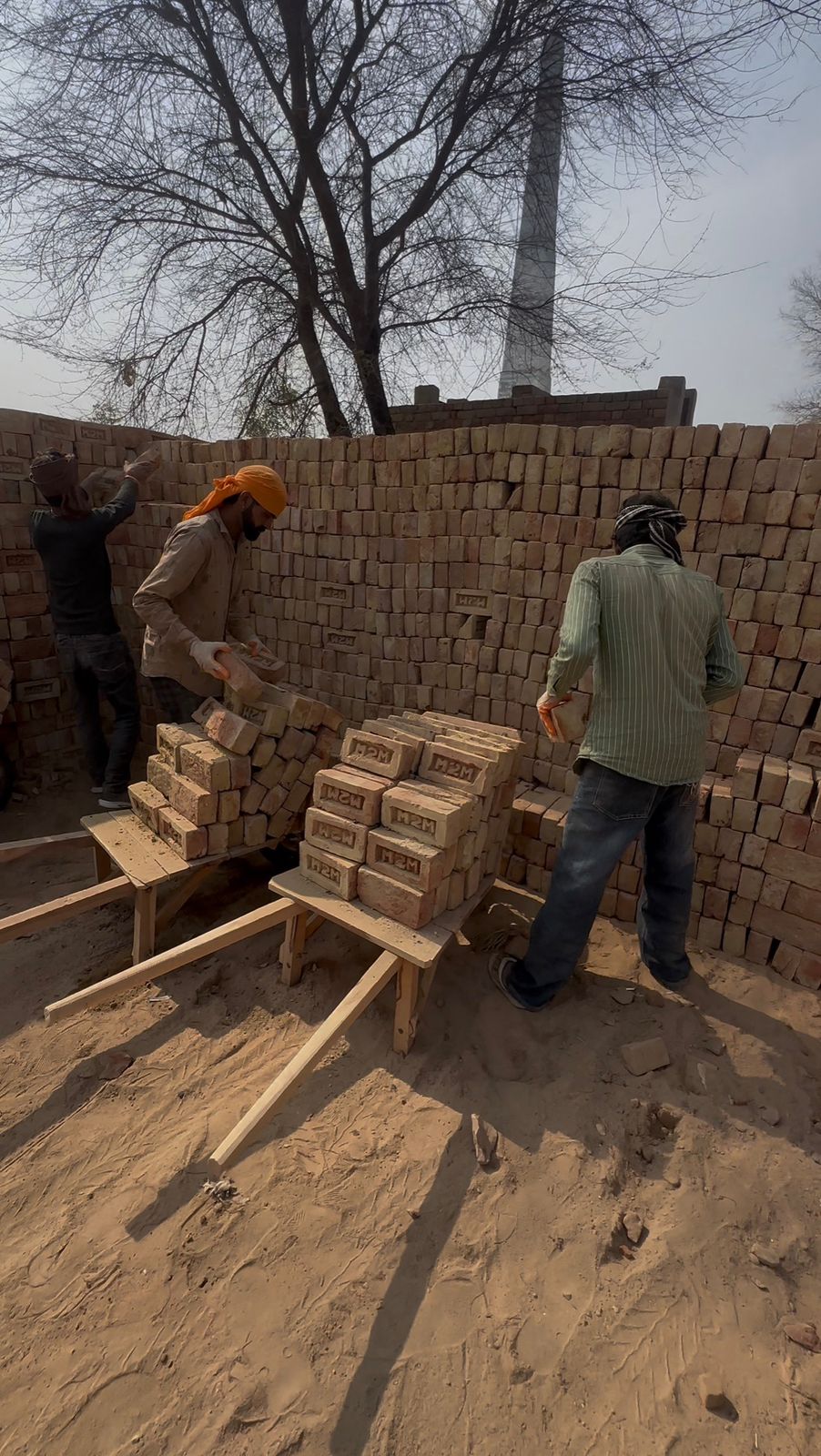 whatsapp image 2026 02 05 at 1.43.19 pm